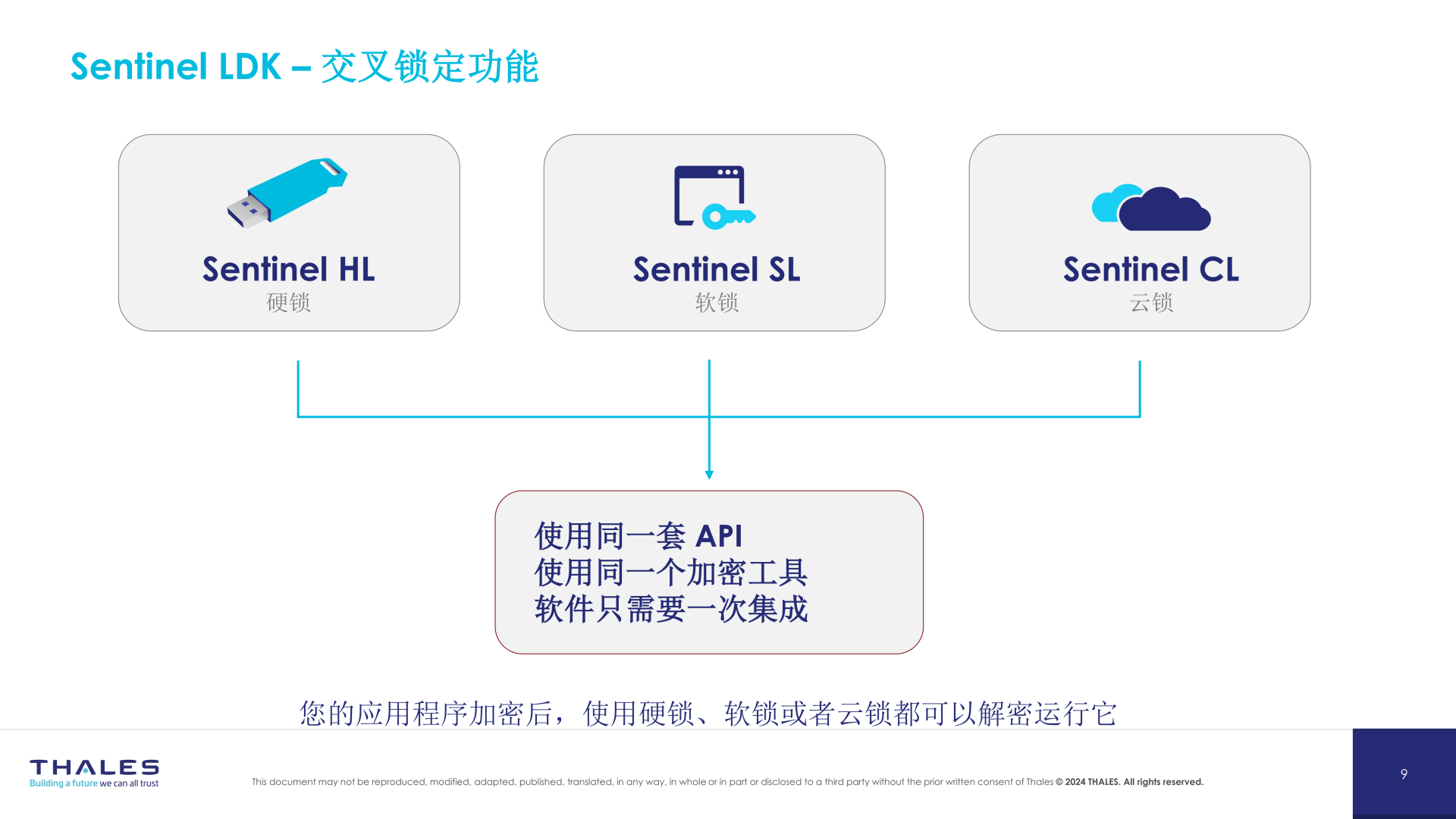 圣天诺软件加密保护方案简介(1)_06.png